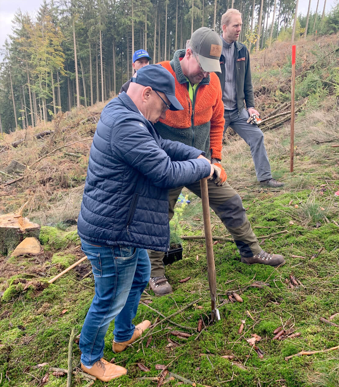 Waldpatenschaft der IT Südwestfalen GmbH in Lüdenscheid